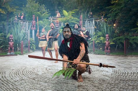 About the Māori Experience in NZ .